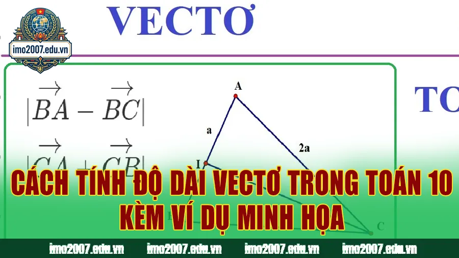 Cách Tính Độ Dài Vectơ Trong Toán 10 Kèm Ví Dụ Minh Họa