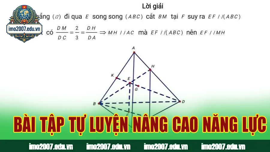 Bài tập tự luyện nâng cao năng lực